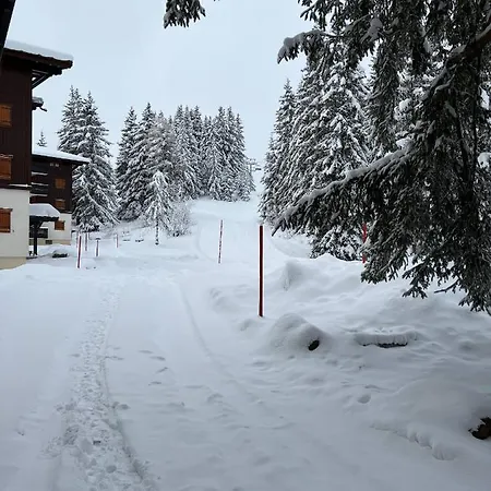 Résidence La Forêt Des Rennes - Les Saisies Appartement Villard-sur-Doron