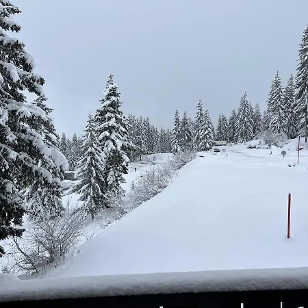 Résidence La Forêt Des Rennes - Les Saisies * Villard-sur-Doron