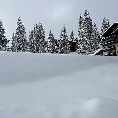 Appartement Résidence La Forêt Des Rennes - Les Saisies Villard-sur-Doron